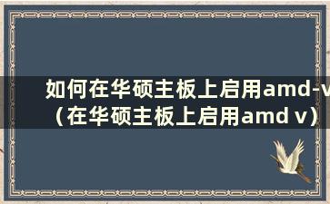 如何在华硕主板上启用amd-v（在华硕主板上启用amd v）